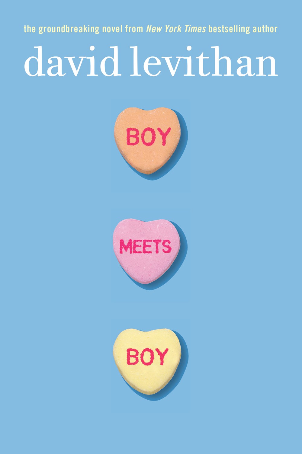 Boy Meets Boy (Carton of 24 Paperback Books)