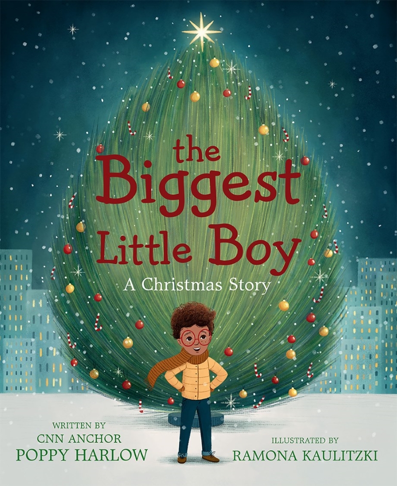 The Biggest Little Boy: A Christmas Story (Carton of 24 Hardcover Books)