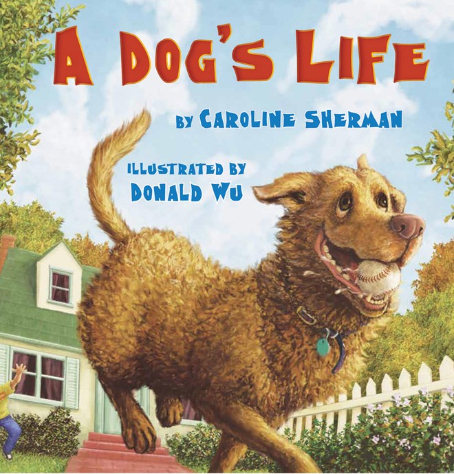 A Dog's Life (Carton of 34 Hardcover Books)