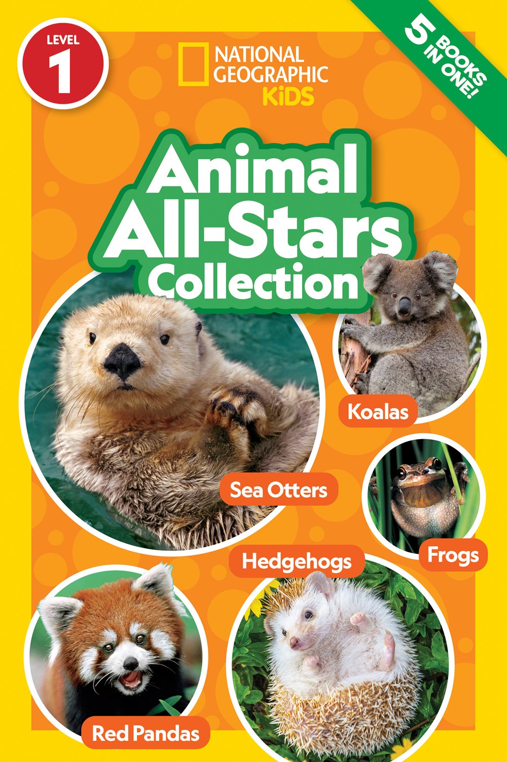 Animal All-Stars Collection: 5 Books in One! (National Geographic Kids: Level 1)