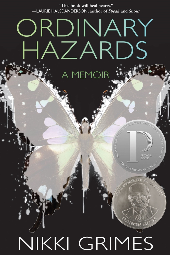 Ordinary Hazards: A Memoir (Paperback)