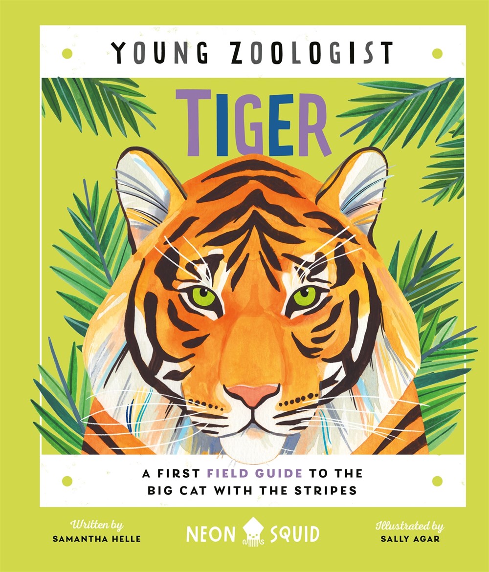 Young Zoologist: Tiger: A First Field Guide to the Big Cat with the Stripes