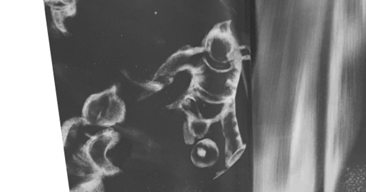 Behind the Scenes at First Book Canada: Calyssa