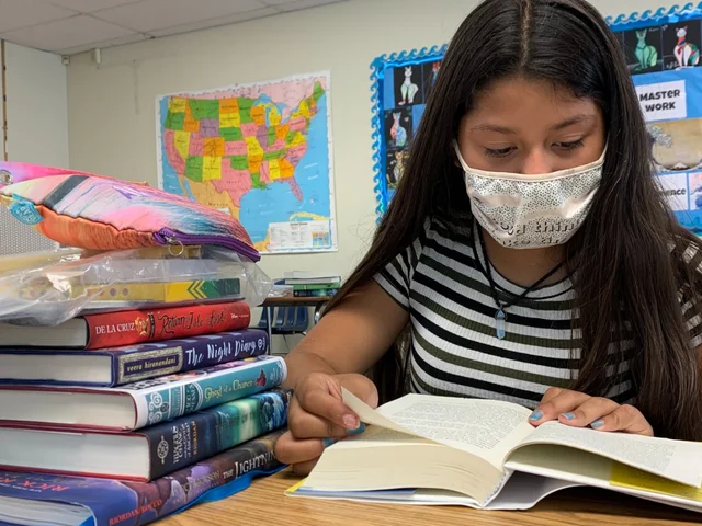 Brave Journeys: Free Resource for Teachers and Counselors