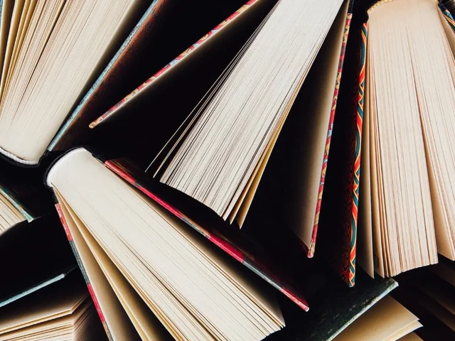 Non-Profit Partner Appreciation