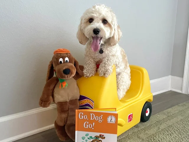 Dog Days of Summer: The Ultimutt Book List