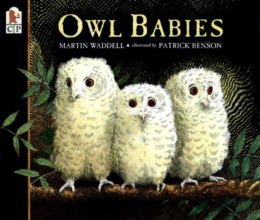 Owl Babies (Carton of 70 Paperbacks)