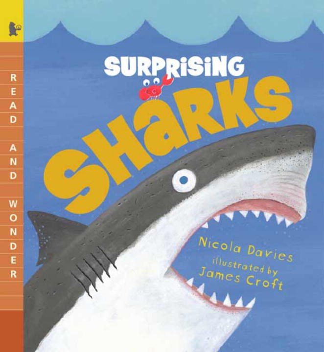 Surprising Sharks (Read and Wonder)
