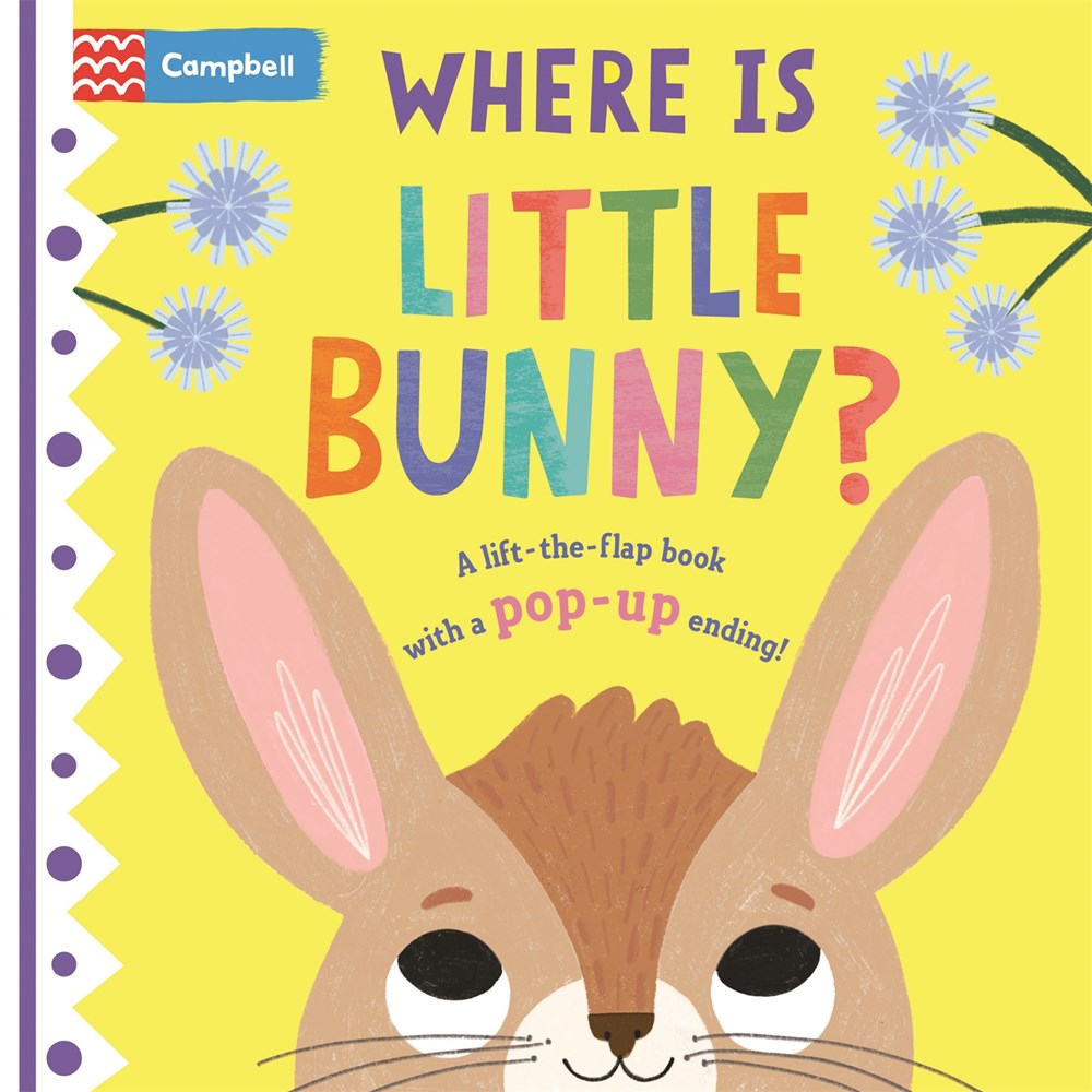 Where Is Little Bunny? (Board Book)