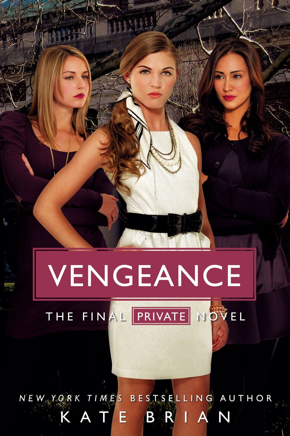 Private #14: Vengeance (Carton of 60 Paperback Books)