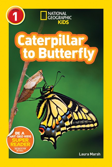 Caterpillar to Butterfly (National Geographic Readers
