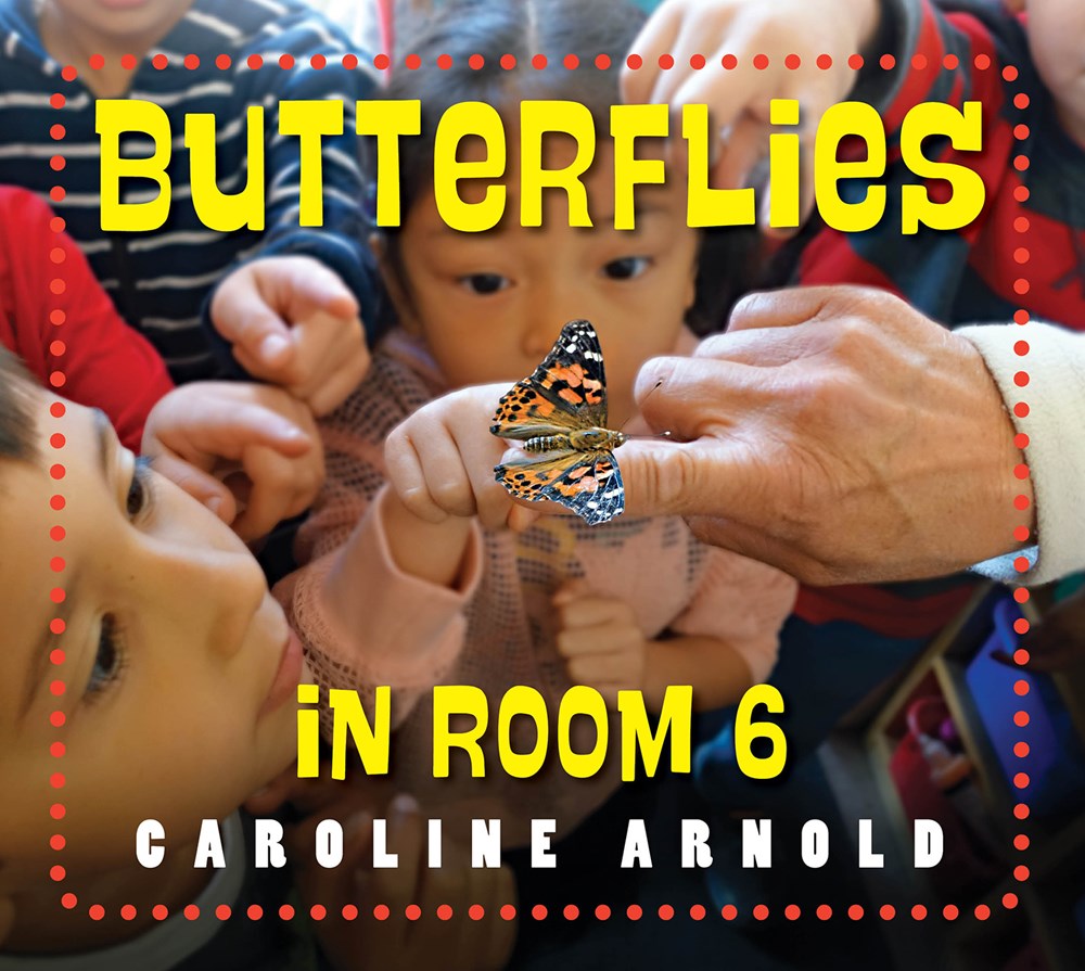 Life Cycles in Room 6: Butterflies in Room 6: See How They Grow