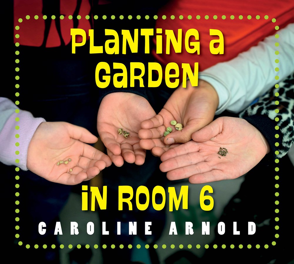 Life Cycles in Room 6: Planting a Garden in Room 6: From Seeds to Salad