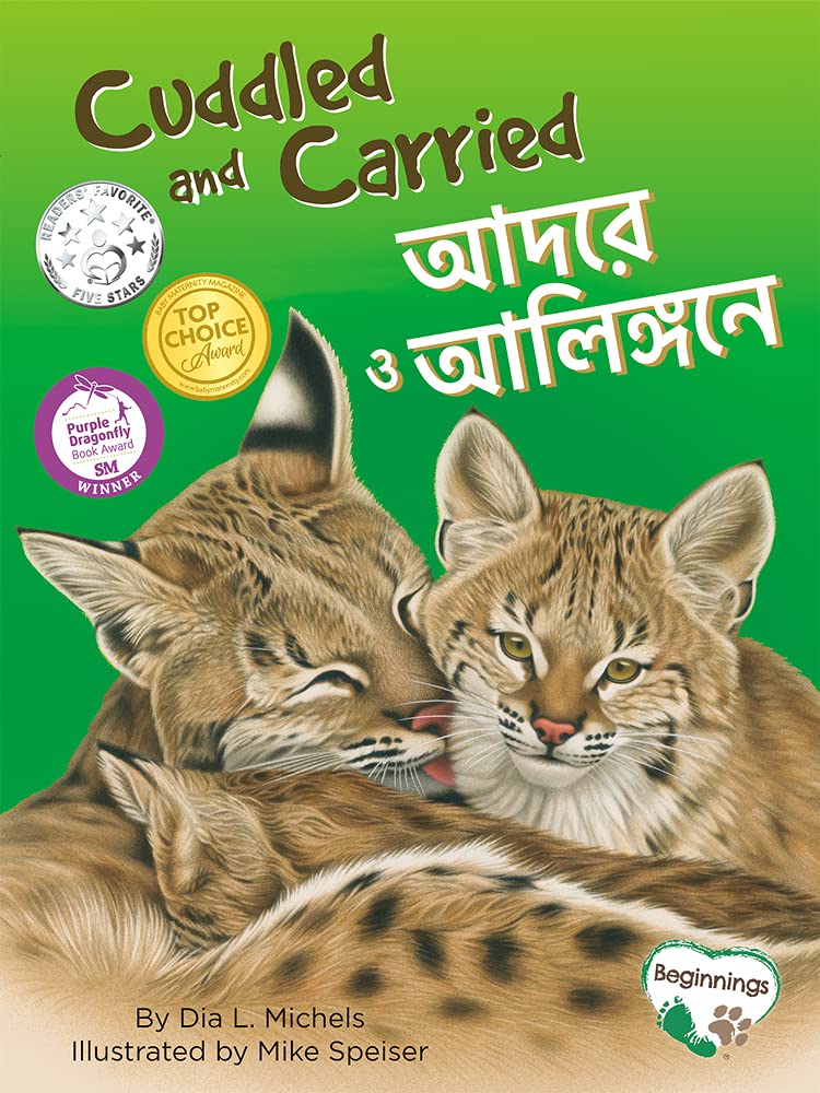 Cuddled and Carried / আদরে ও আলিঙ্গরে (Bilingual, English/Bengali) (Carton of 30 Paperbacks)